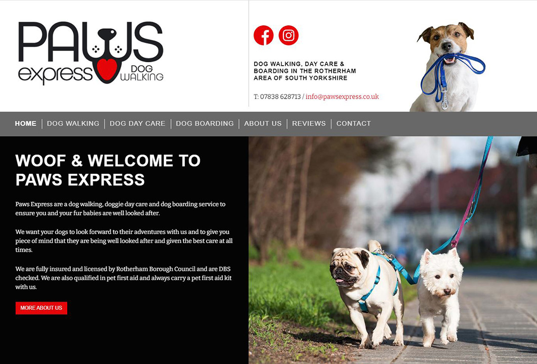 Desktop website: Paws Express
